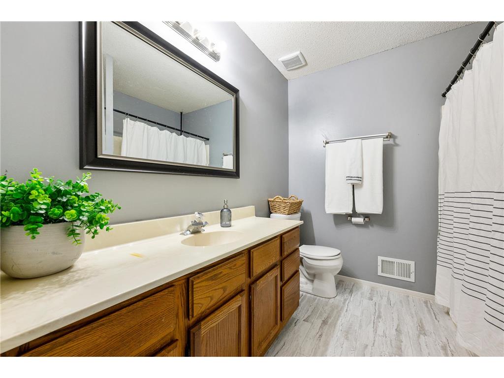 10658 Hummingbird Street NW Coon Rapids MN 55433 7085288 image22