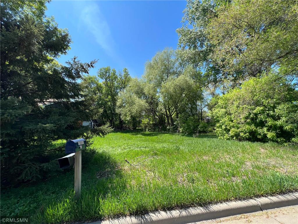 10660 Goldenrod Street NW, Coon Rapids, MN 55448 MLS 6366057 Edina