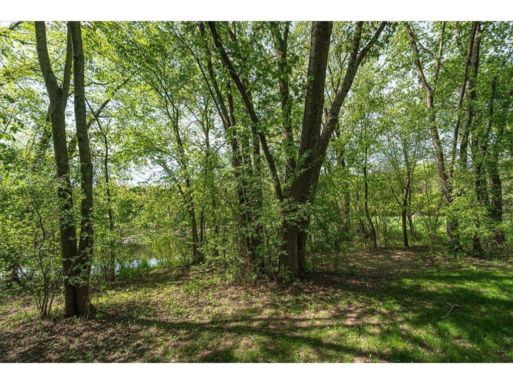 10665 Akron Avenue Inver Grove Heights MN 55077 7076491 image73