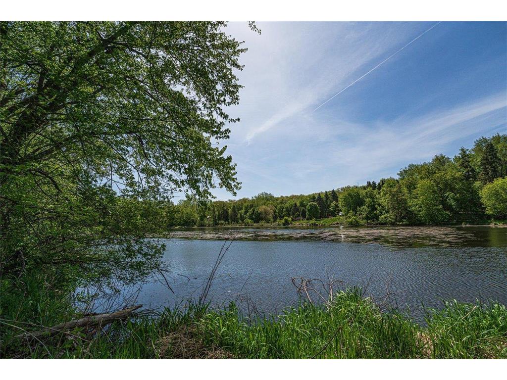 10665 Akron Avenue Inver Grove Heights MN 55077 7076491 image75