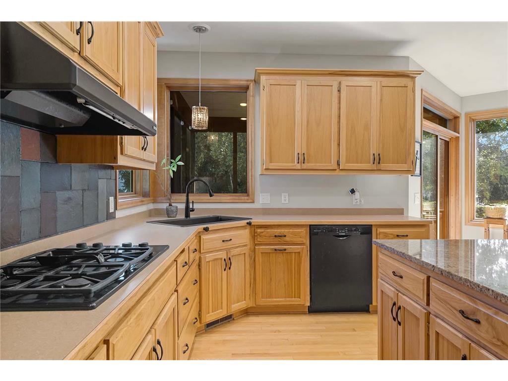 10668 Alton Court Inver Grove Heights MN 55077 7015802 image17