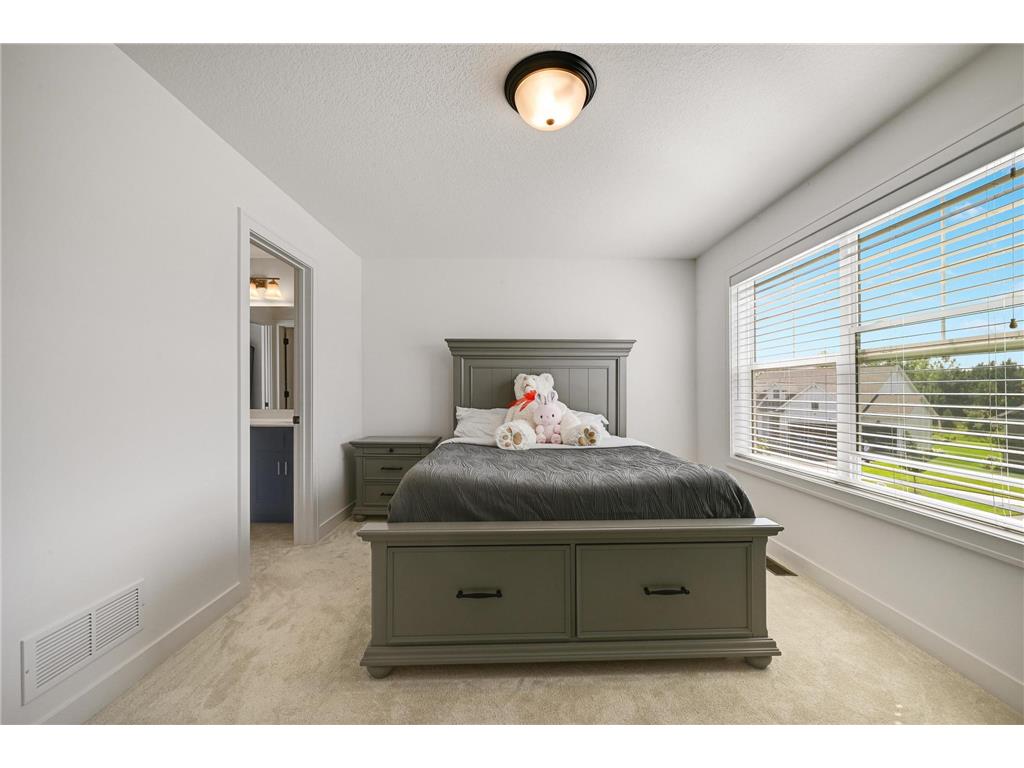 10675 40th Street N Lake Elmo MN 55042 7083864 image24