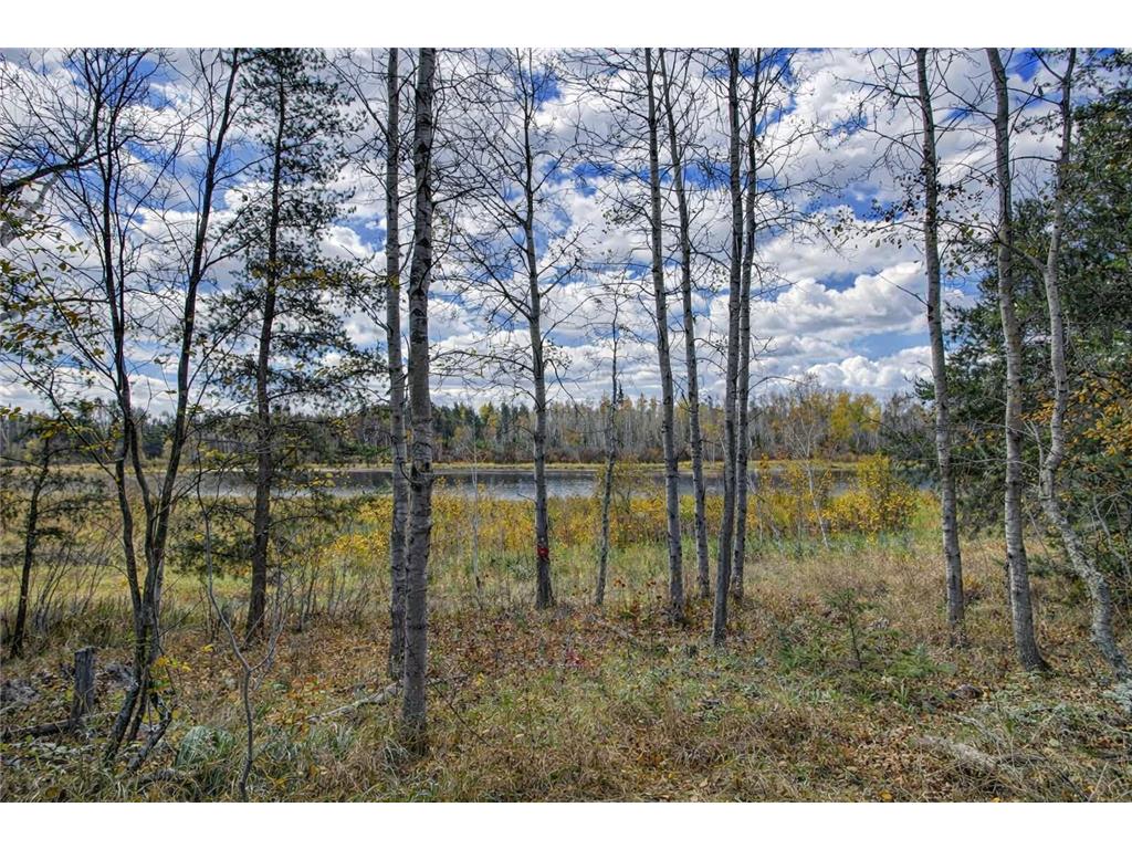 10675 County 41 Park Rapids MN 56470 - Bunness 7030384 image40