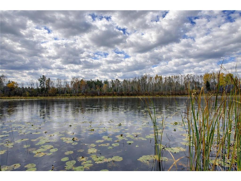 10675 County 41 Park Rapids MN 56470 - Bunness 7030384 image5