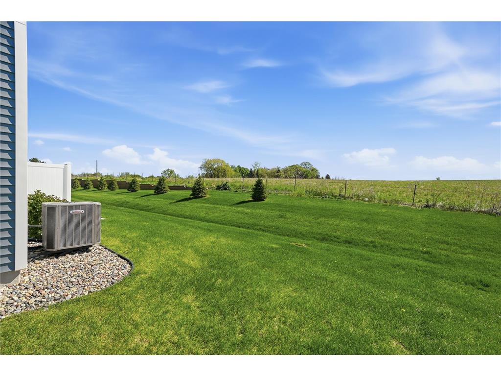 10680 Wiles Way Woodbury MN 55129 7068340 image35