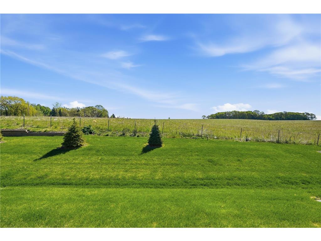 10680 Wiles Way Woodbury MN 55129 7068340 image36