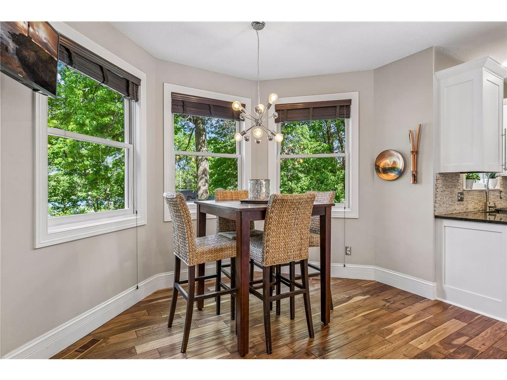 10681 Alameda Avenue Inver Grove Heights MN 55077 7083664 image16