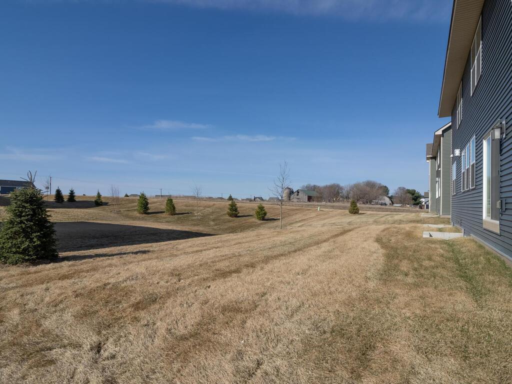 10691 Bent Pine Lane Woodbury MN 55129 7040066 image4