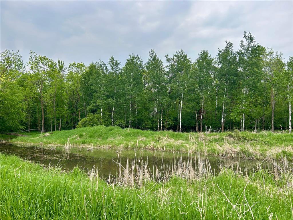 10696 Leaf River Road Leaf River Twp MN 56482 6727194 image32