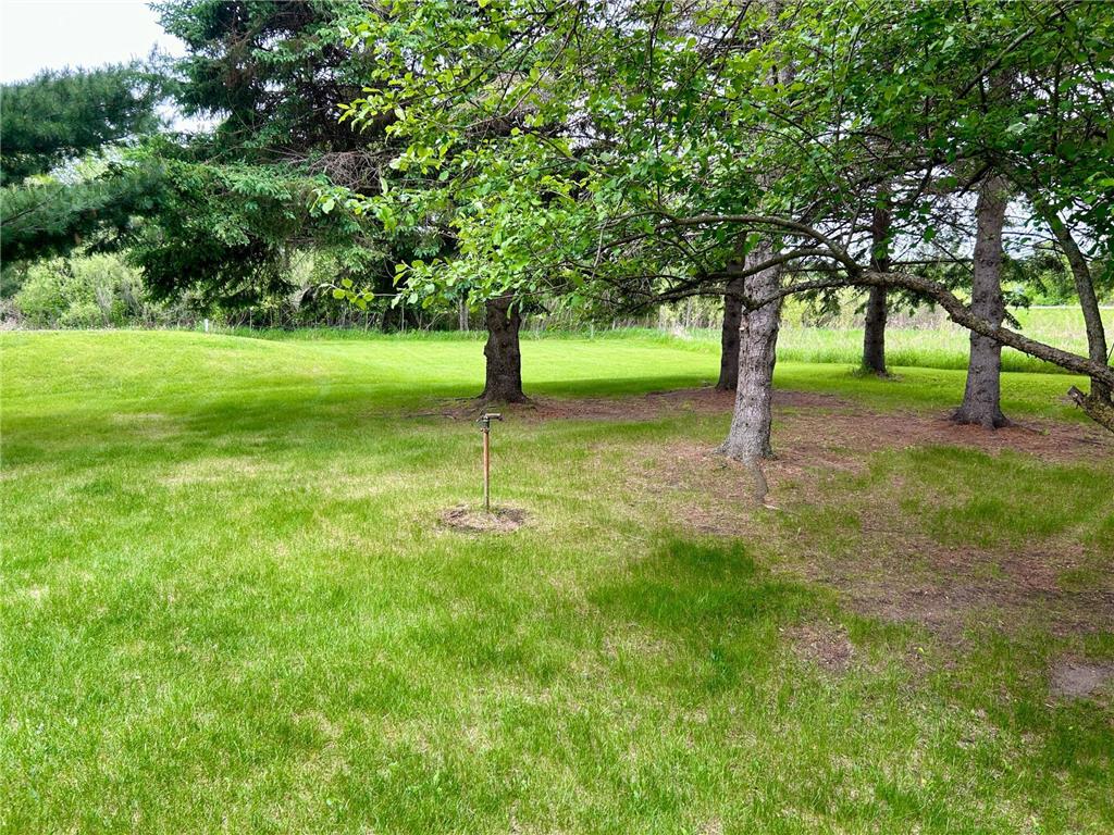 10696 Leaf River Road Leaf River Twp MN 56482 6727194 image33