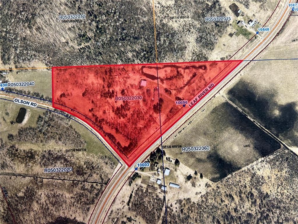 10696 Leaf River Road Leaf River Twp MN 56482 6727194 image34