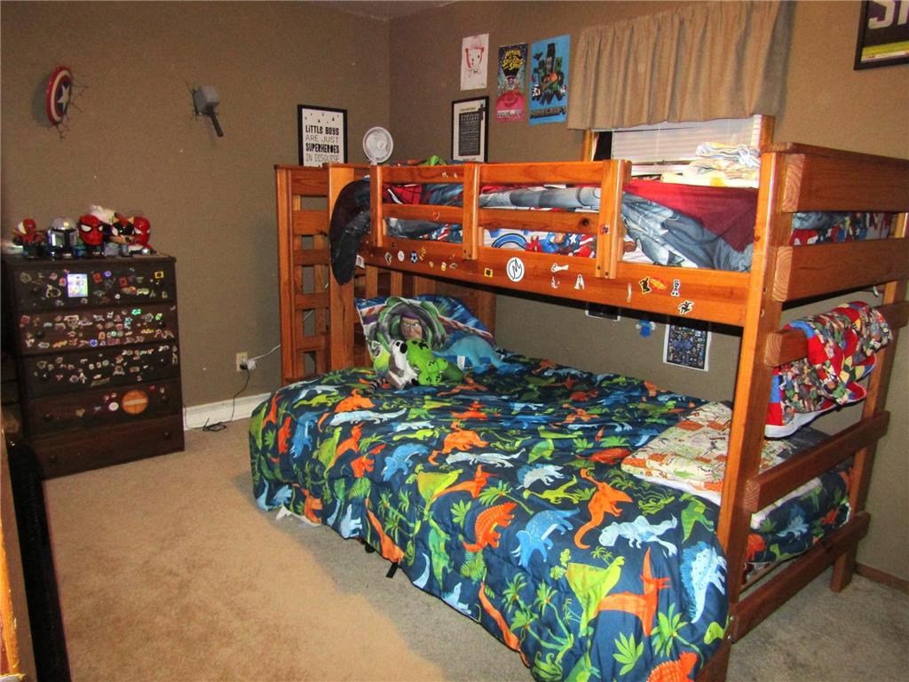 107 3rd Ave Madison MN 56256 7058203 image11