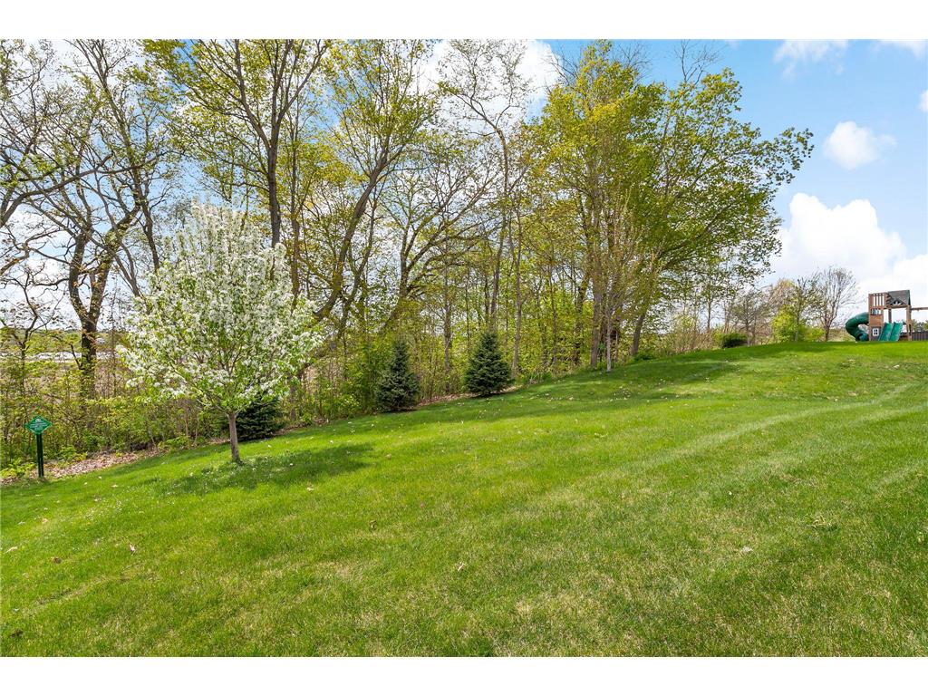 107 Maple Terrace Waconia MN 55387 7066710 image39