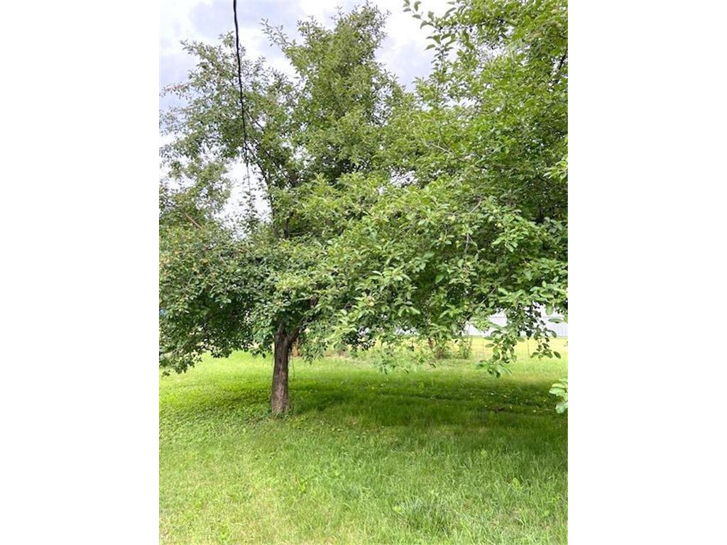 107 Stewart Avenue S Jeffers MN 56145 7102473 image22