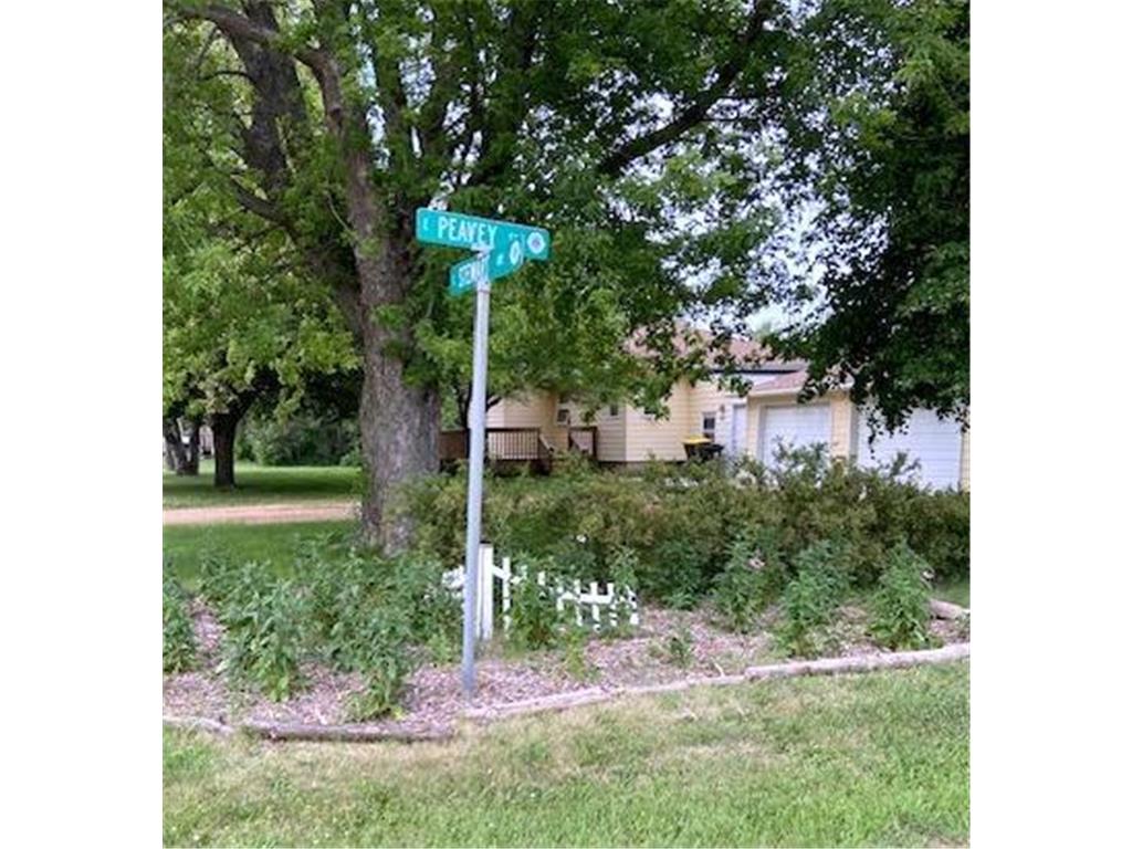 107 Stewart Avenue S Jeffers MN 56145 7102473 image30