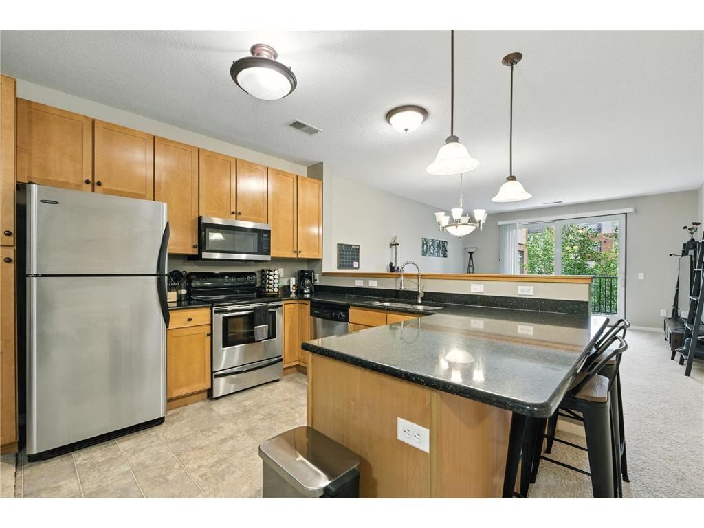 1070 Grandview Court NE #206 Columbia Heights MN 55421 6756907 image1