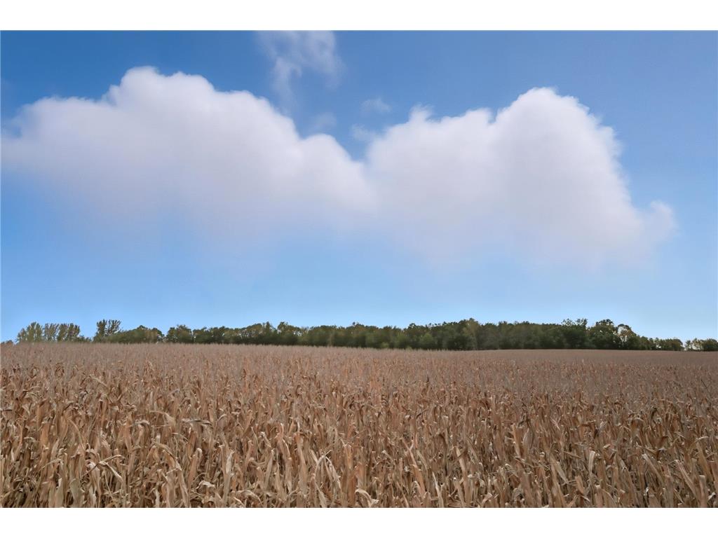 10703 187th Street Rich Valley Twp MN 55381 - Silver 6792918 image45