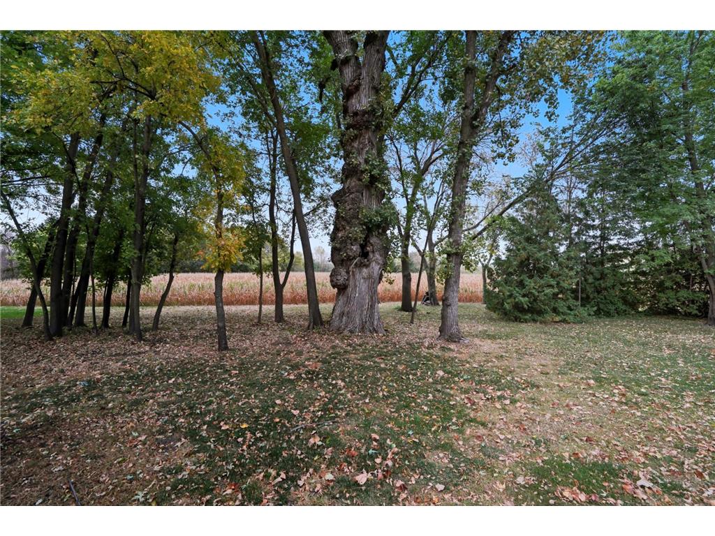 10703 187th Street Rich Valley Twp MN 55381 - Silver 6792918 image47