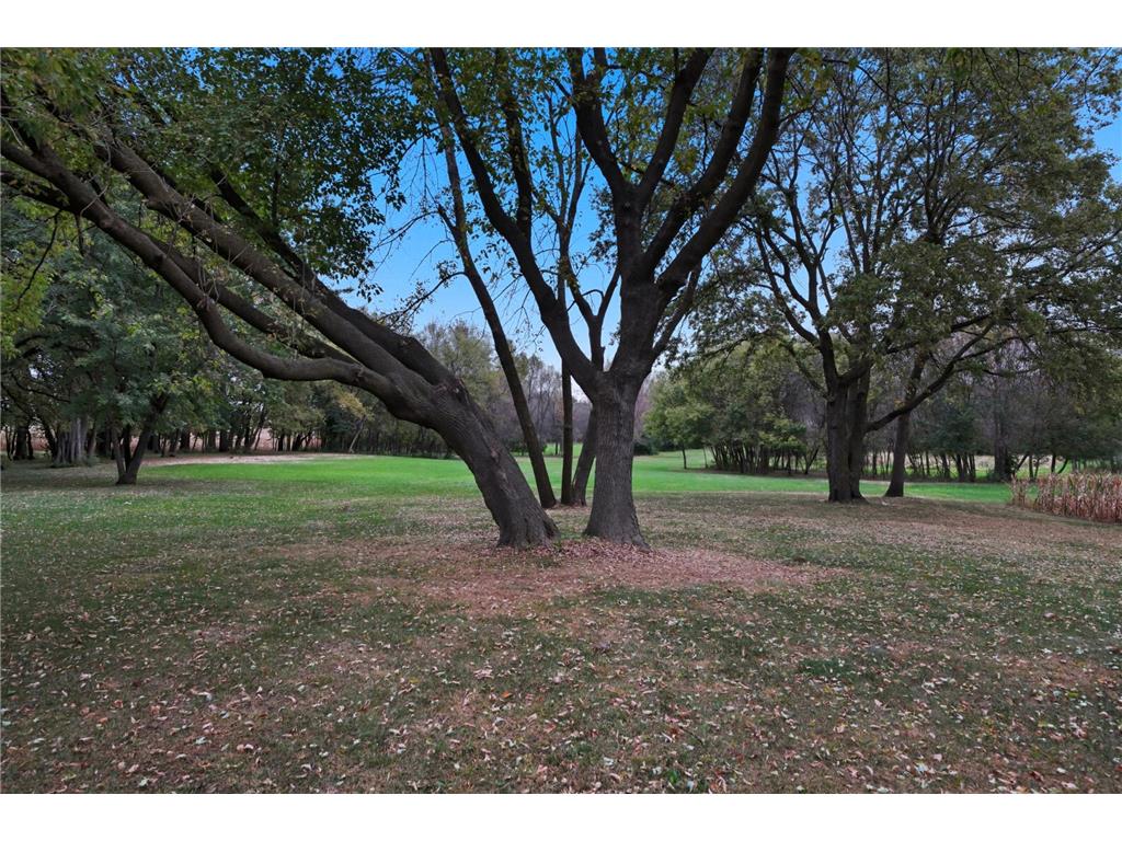 10703 187th Street Rich Valley Twp MN 55381 - Silver 6792918 image48