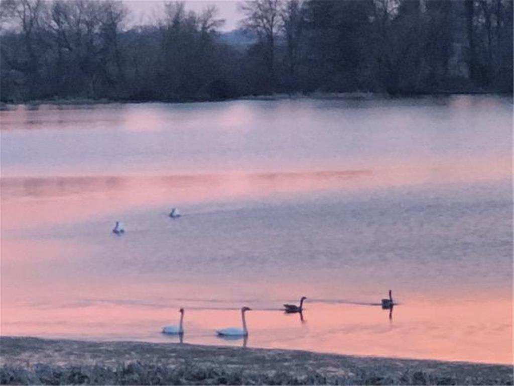 10703 187th Street Rich Valley Twp MN 55381 - Silver 6792918 image50