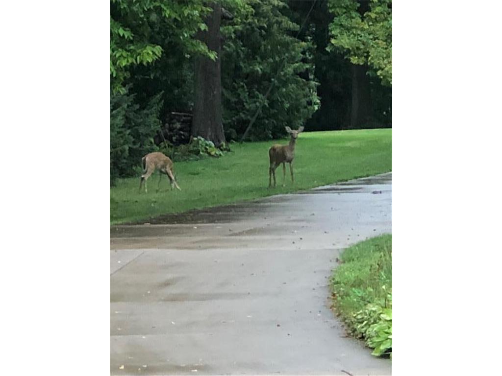 10703 187th Street Rich Valley Twp MN 55381 - Silver 6792918 image56