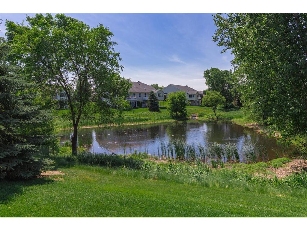 10709 Kingsfield Lane Woodbury MN 55129 7093401 image39