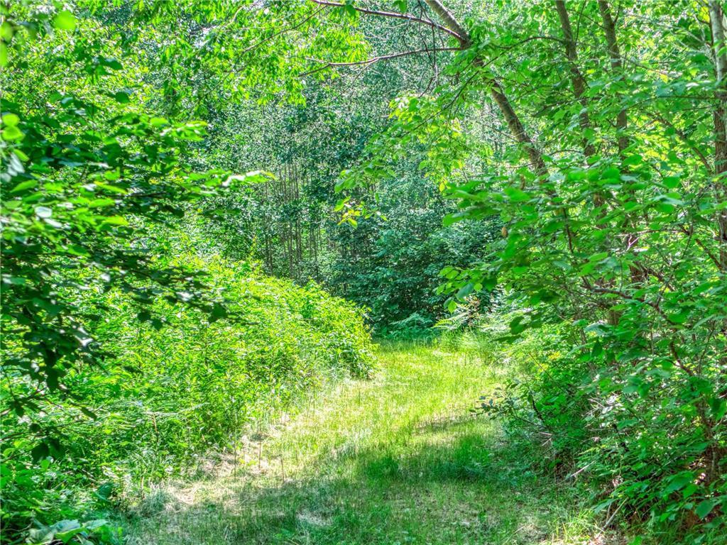 10719 Lumberjack Road NW Alaska Twp MN 56667 - Alaska 7086887 image79