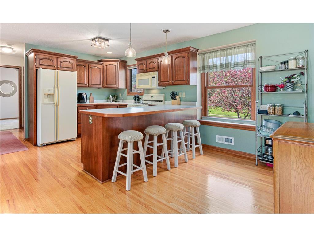 10724 Riverview Place NW Coon Rapids MN 55433 6531728 image1