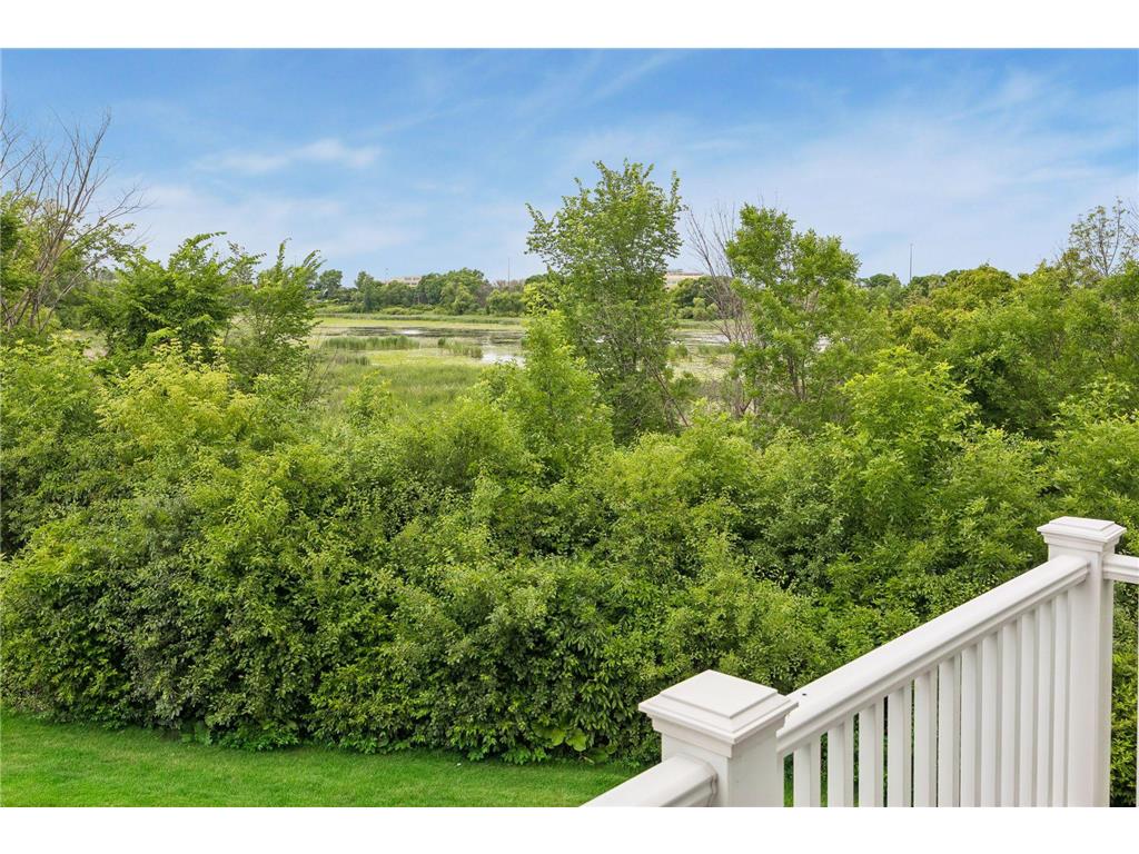 10730 Kiawah Drive Eden Prairie MN 55344 - Academy Marsh 7097371 image45