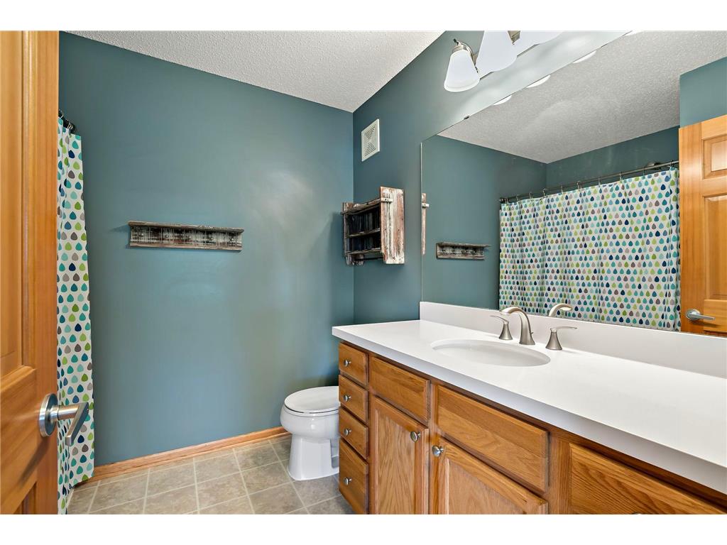 10732 Falling Water Lane #A Woodbury MN 55129 7056960 image16