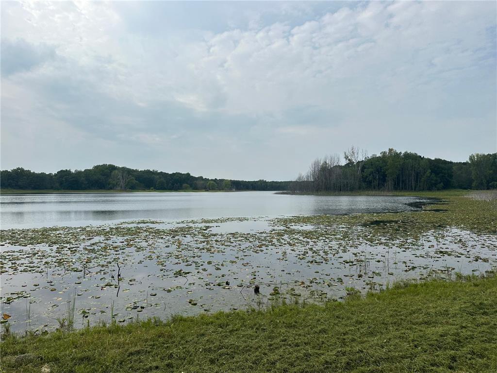 10732 Stillwater Boulevard N Lake Elmo MN 55042 - Sunfish 7018226 image14