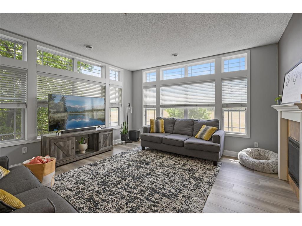 10740 Town Square Drive NE F, Blaine, MN, 55449 MLS 6379788 Edina