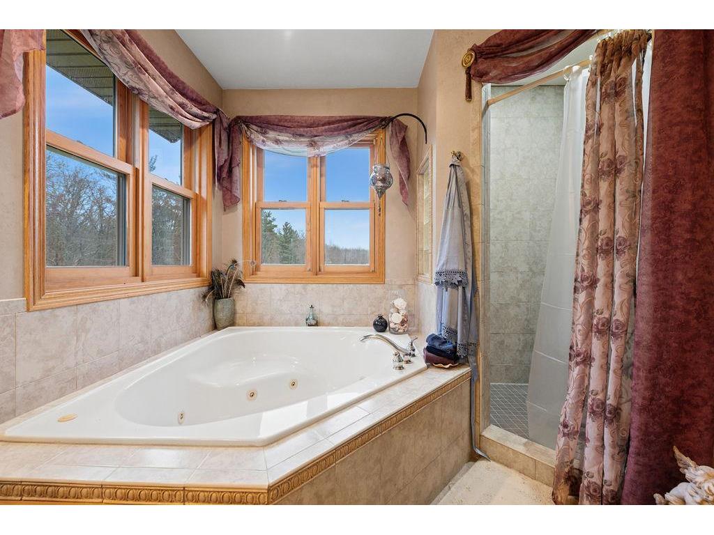 10745 Birch Trail Maple Grove Twp MN 56401 7080152 image42