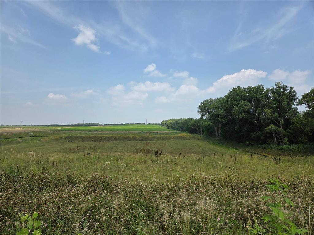 10746 Bent Pine Lane Woodbury MN 55129 6806504 image2