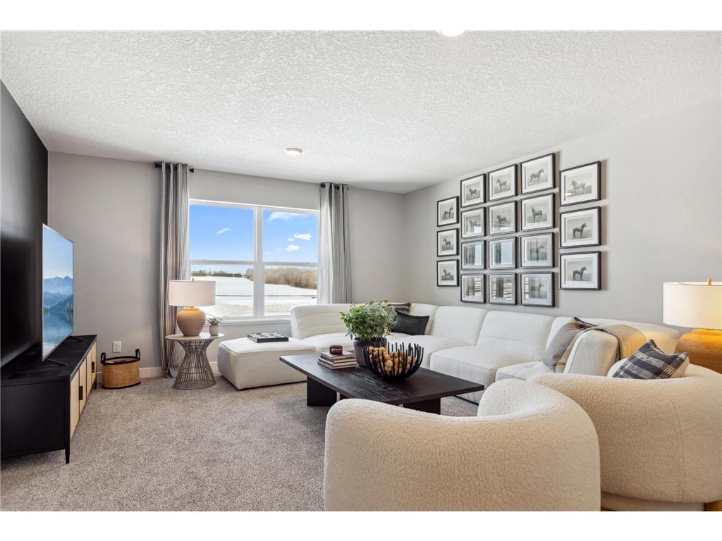 10746 Bent Pine Lane Woodbury MN 55129 6806504 image28