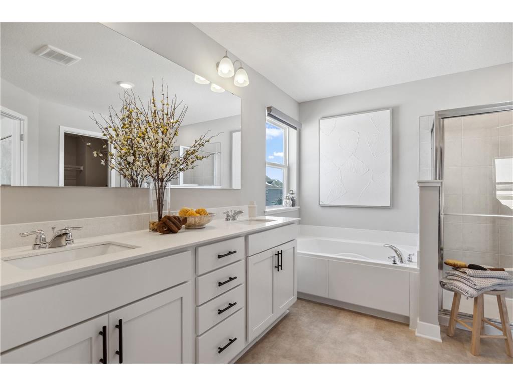 10746 Bent Pine Lane Woodbury MN 55129 6806504 image33