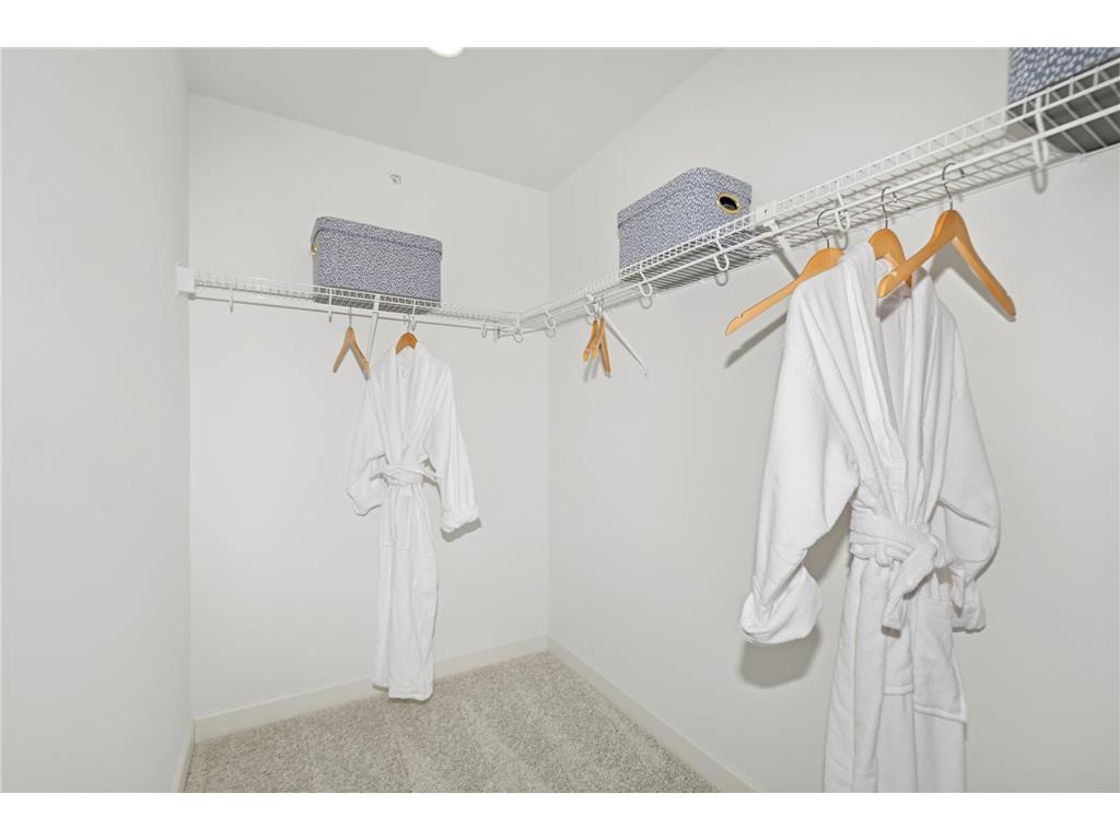 1075 Anmeadle Row Rosemount MN 55068 7083565 image18