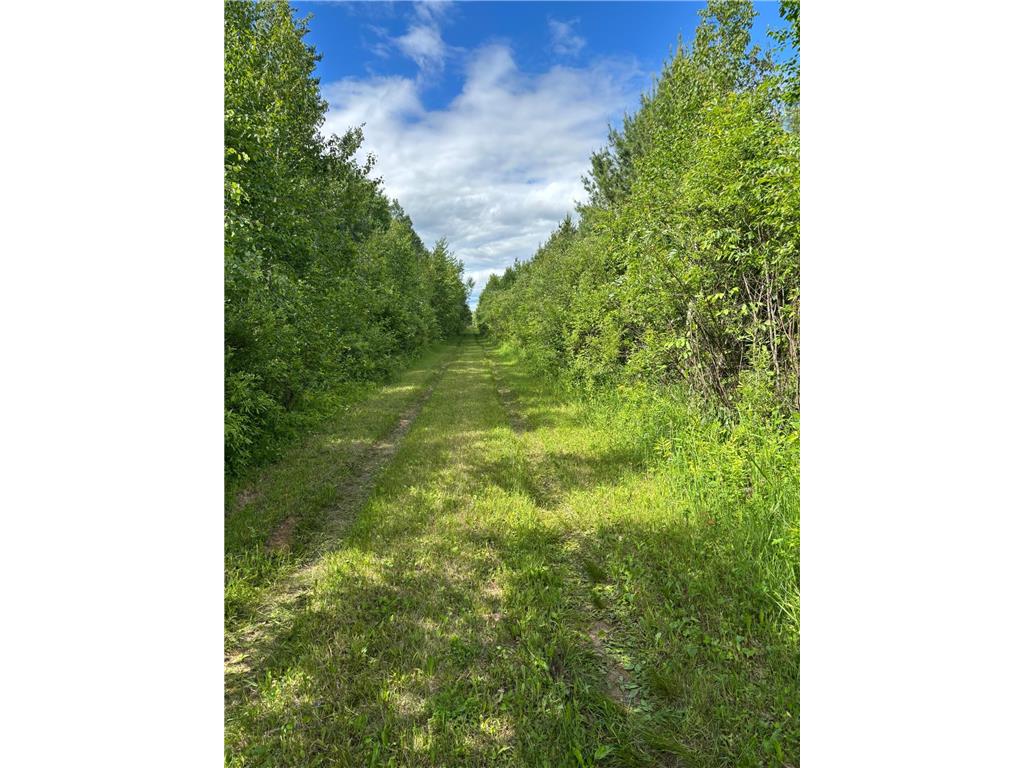 10750 Groningen Road Sandstone MN 55072 7091646 image1