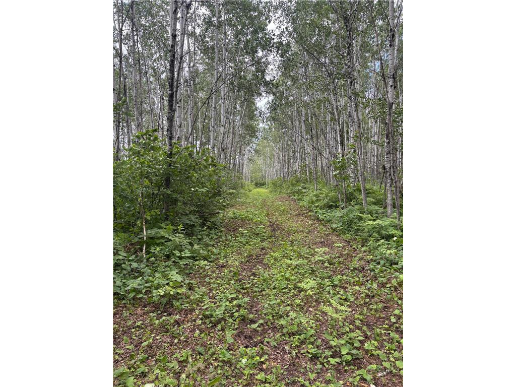 10750 Groningen Road Sandstone MN 55072 7091646 image10
