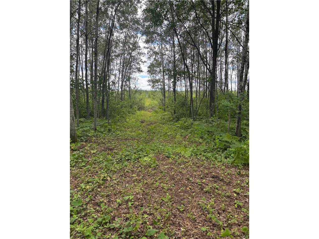 10750 Groningen Road Sandstone MN 55072 7091646 image9