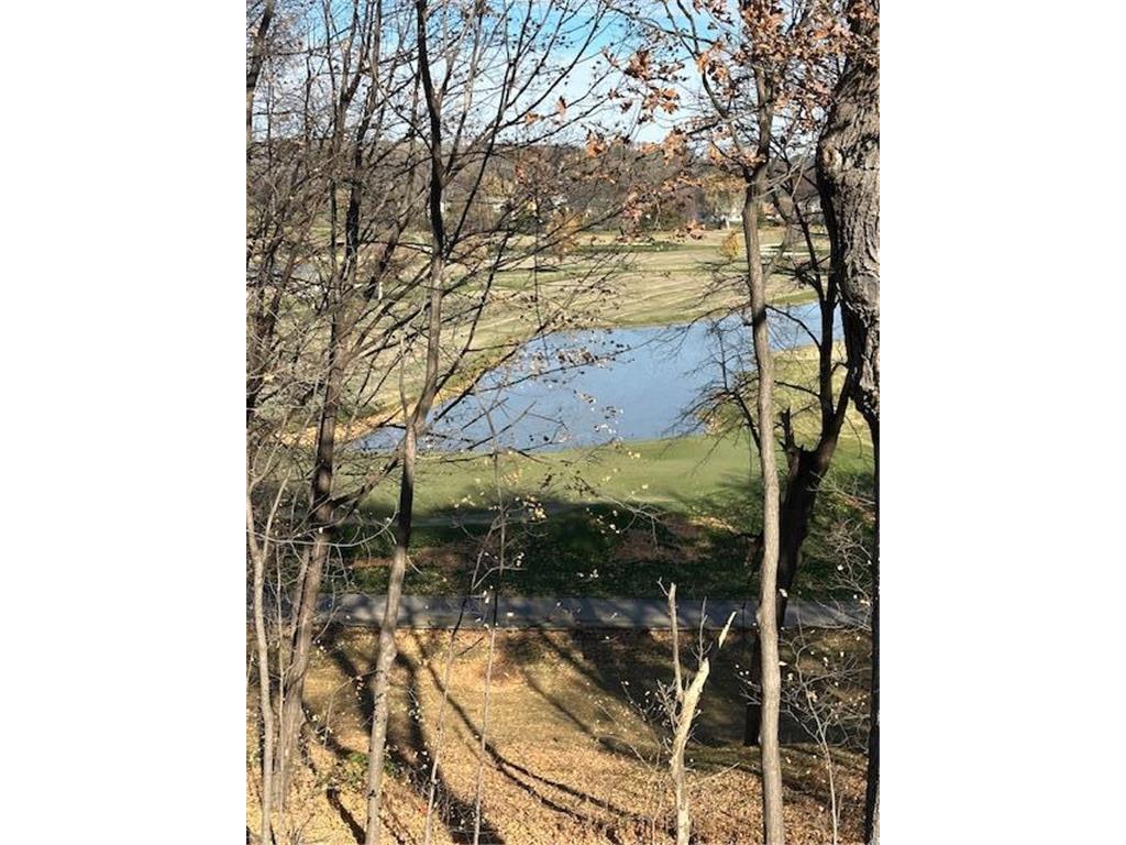 10752 Mount Curve Road Eden Prairie MN 55347 6825563 image24