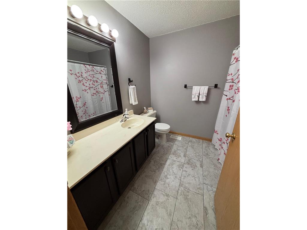 10755 Tamarack Circle NW Coon Rapids MN 55433 7068923 image17
