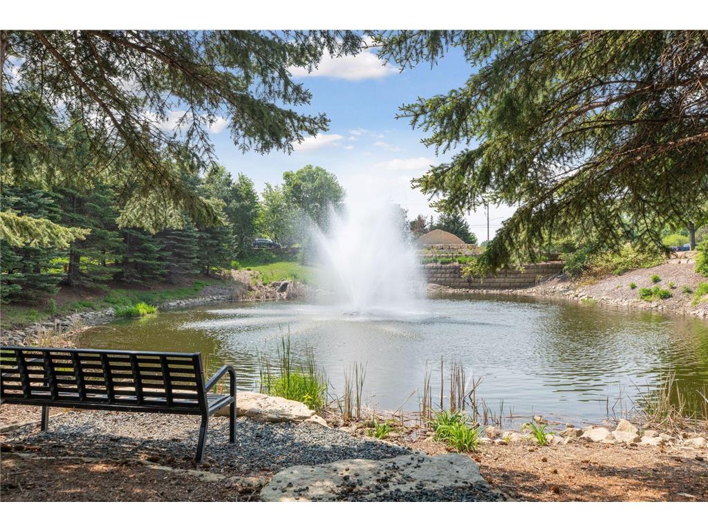 10756 Falling Water Lane #B Woodbury MN 55129 7060174 image32