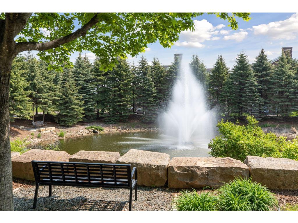 10756 Falling Water Lane #B Woodbury MN 55129 7060174 image33