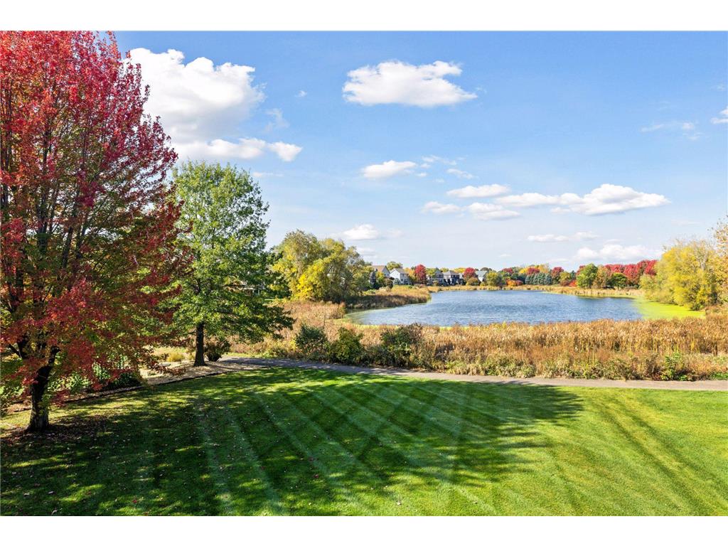 10758 Watersedge Lane Woodbury MN 55129 6805214 image104
