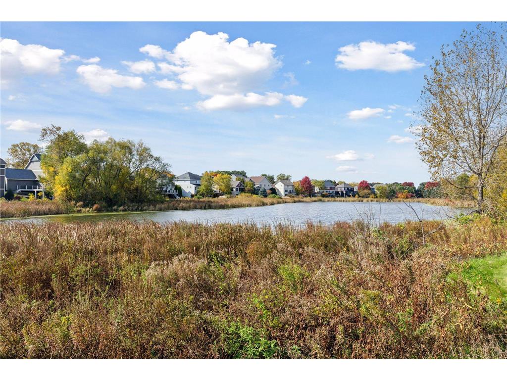 10758 Watersedge Lane Woodbury MN 55129 6805214 image105