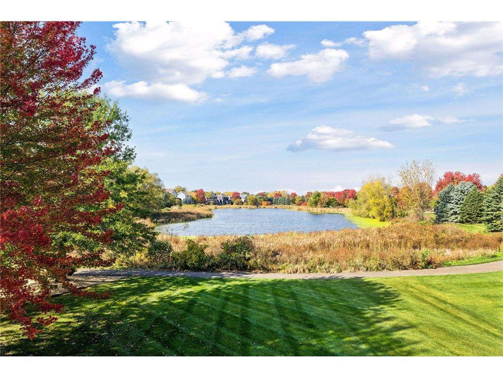 10758 Watersedge Lane Woodbury MN 55129 6805214 image2