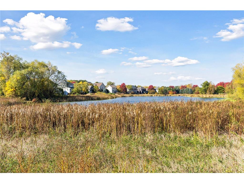10758 Watersedge Lane Woodbury MN 55129 6805214 image98