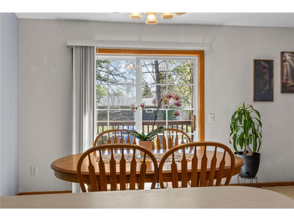 1076 Pine Street Farmington MN 55024 7043958 image24