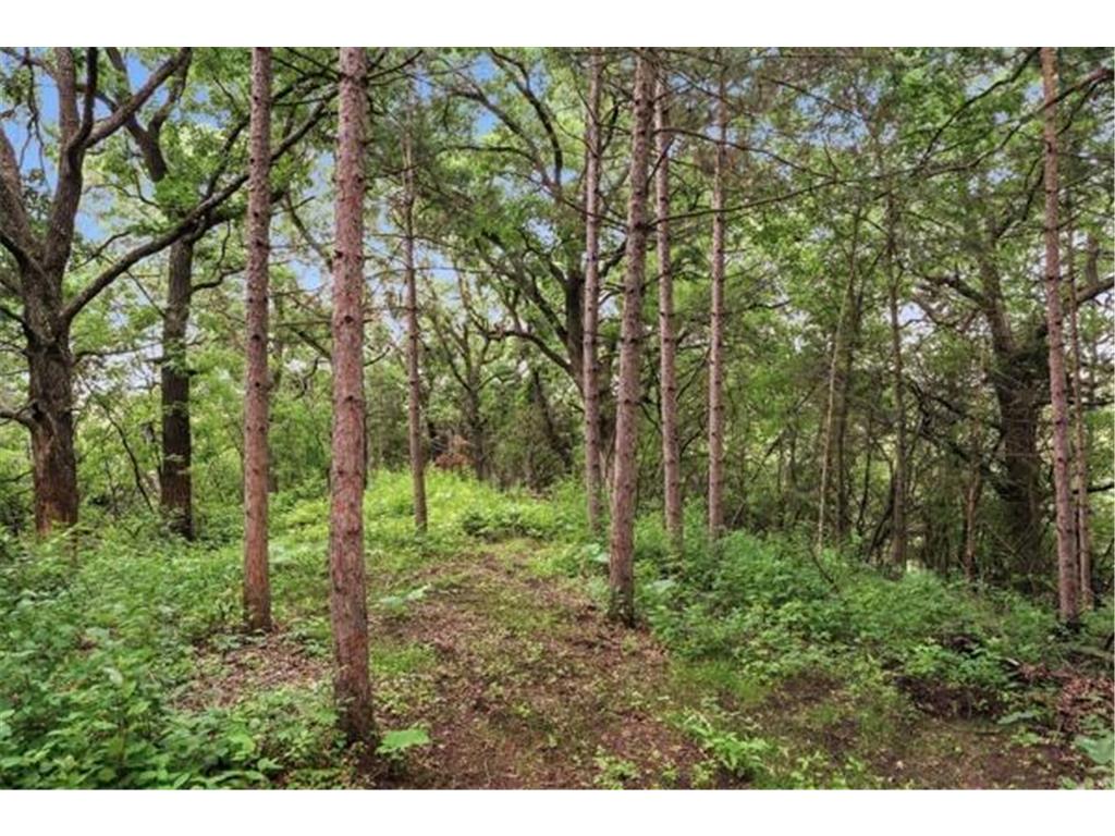 10761 Penfield Avenue Court N Stillwater Twp MN 55082 7099539 image53